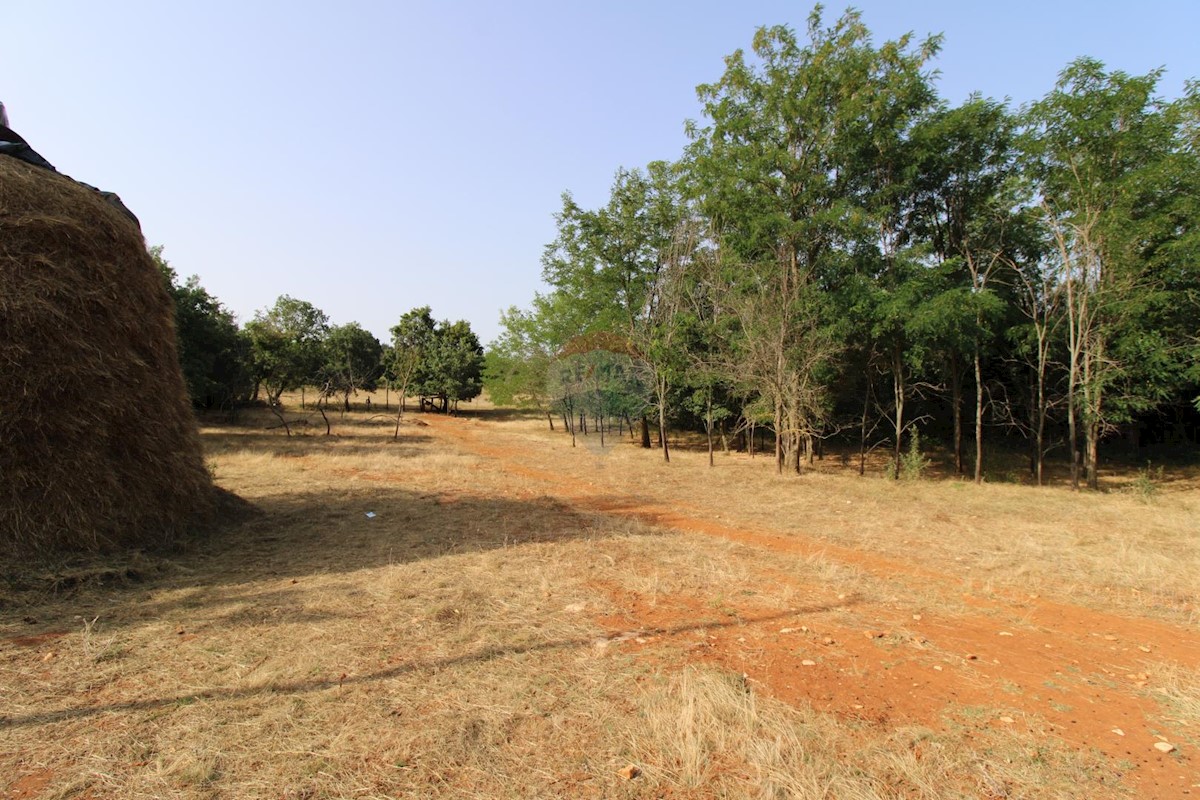 Stavbno zemljišče Baderna, Poreč, 1.500m2