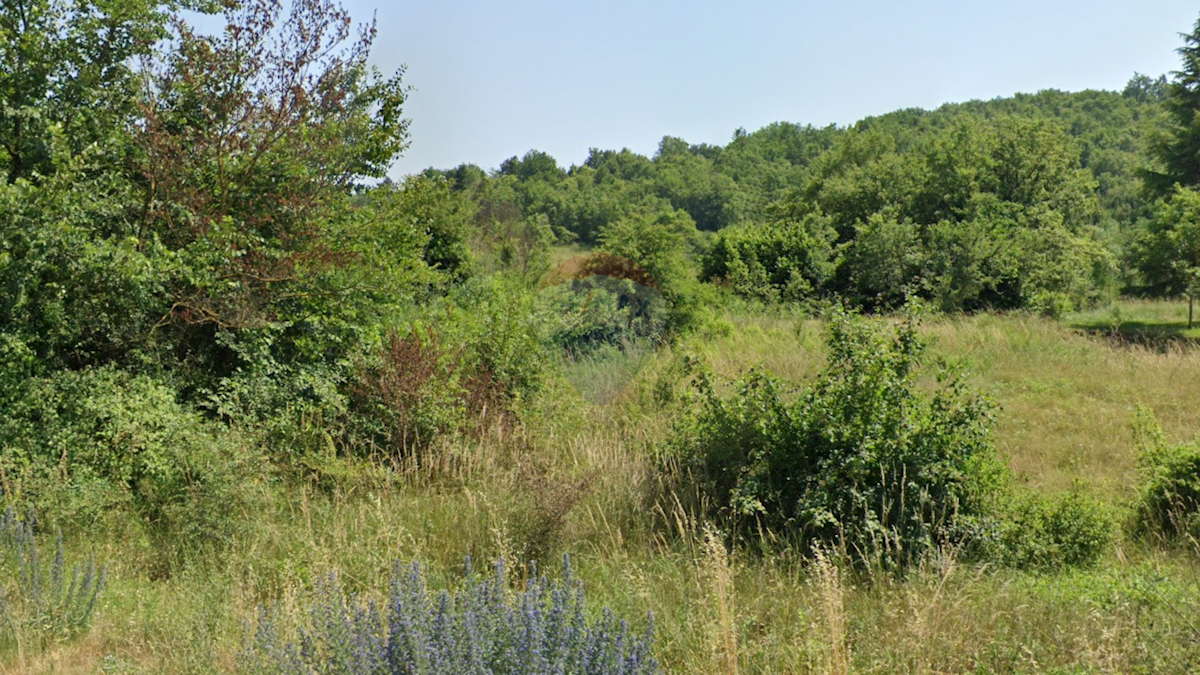 Stavbno zemljišče Škropeti, Karojba, 17.562m2