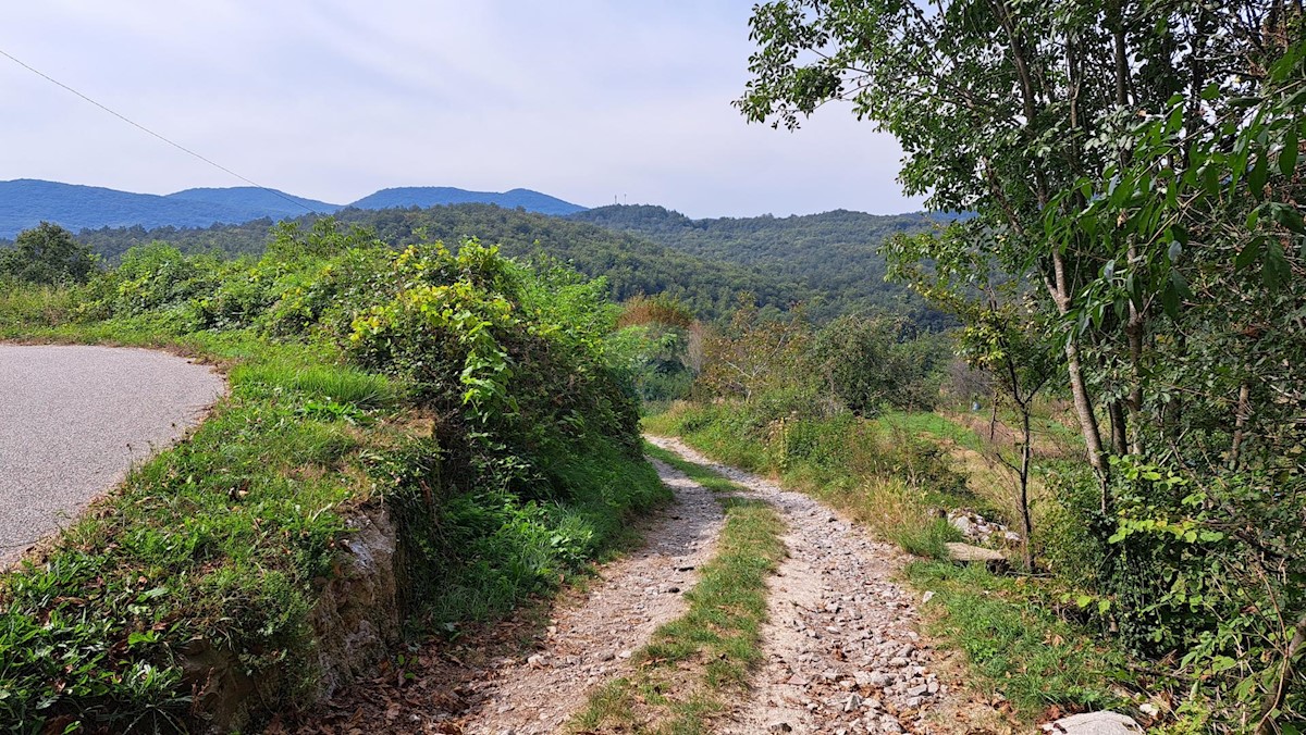 Hiša Brdce, Matulji, 712m2