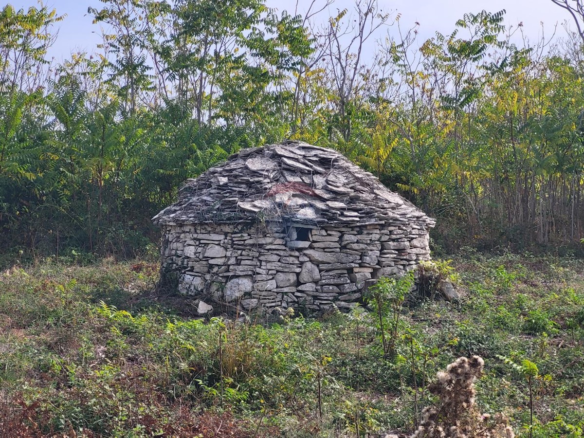 Stavbno zemljišče Galižana, Vodnjan, 4.546m2