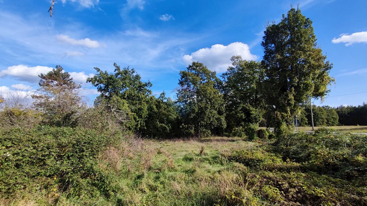 Stavbno zemljišče Jakačići, Gračišće, 2.290m2