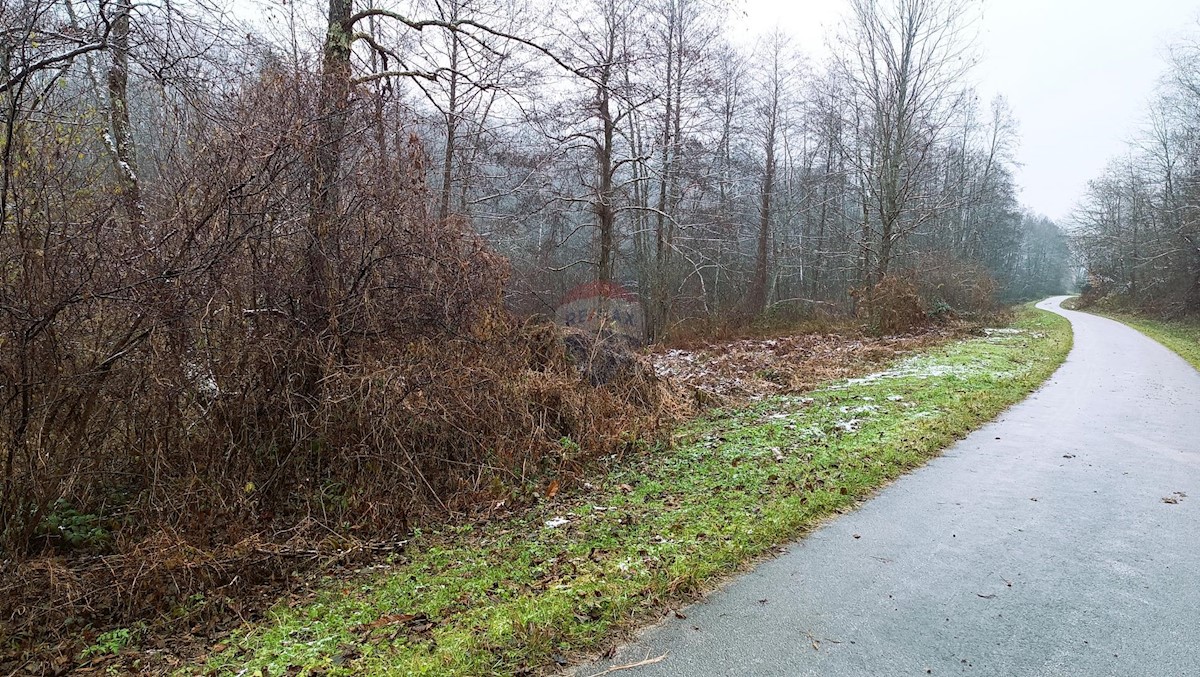 Stavbno zemljišče Donja Trebinja, Karlovac - Okolica, 2.876m2