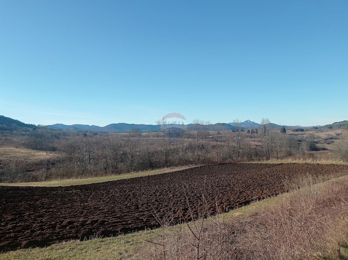 Stavbno zemljišče Pothum Plaščanski, Plaški, 98.000m2