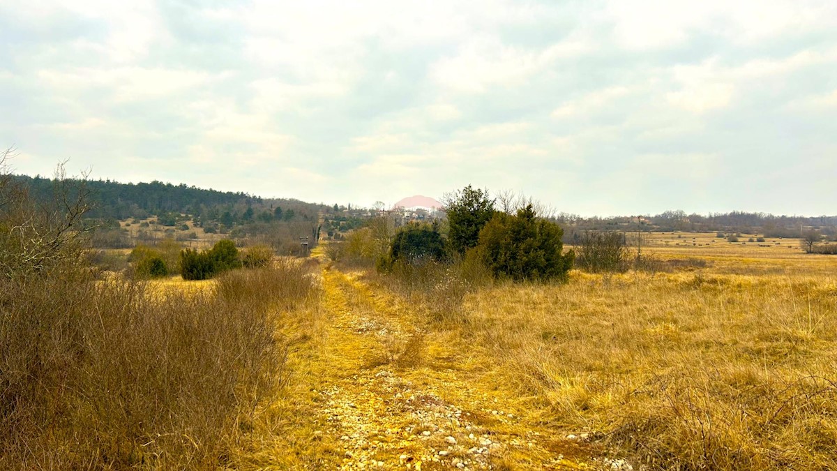 Stavbno zemljišče Završje, Grožnjan, 12.991m2