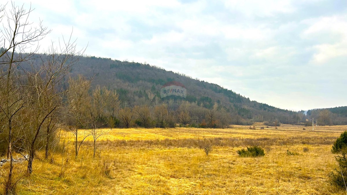 Stavbno zemljišče Završje, Grožnjan, 12.991m2