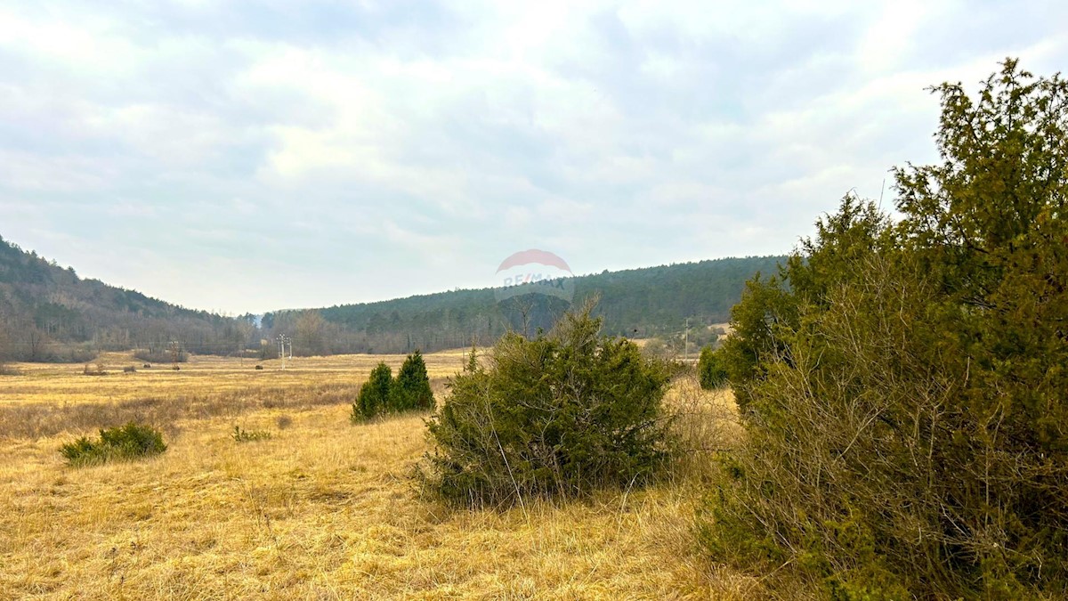 Stavbno zemljišče Završje, Grožnjan, 12.991m2