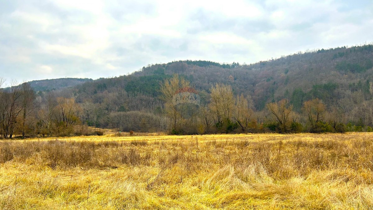 Stavbno zemljišče Završje, Grožnjan, 12.991m2