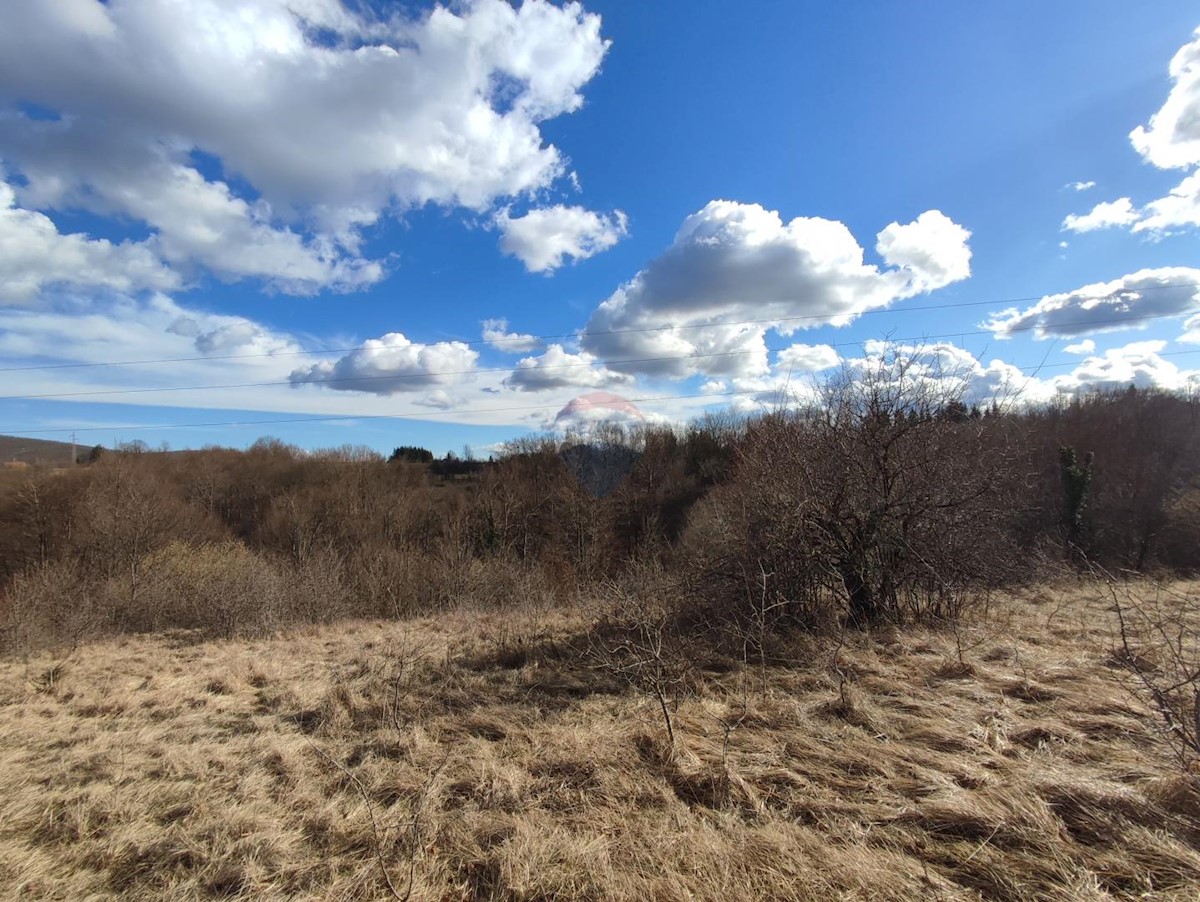 Stavbno zemljišče Ljubošina, Vrbovsko, 4.820m2