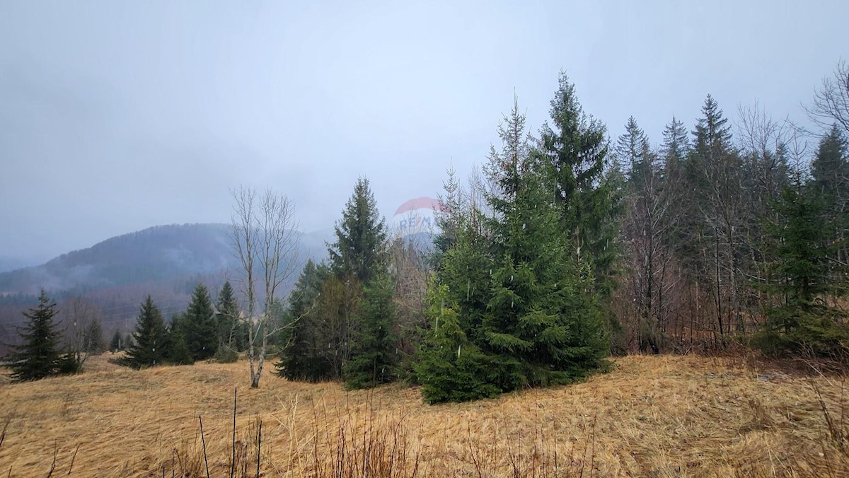 Stavbno zemljišče Stari Laz, Ravna Gora, 2.537m2