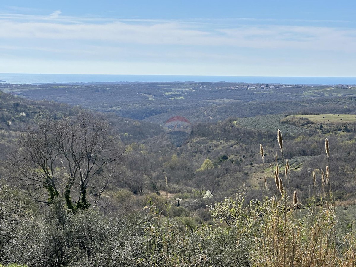 Stavbno zemljišče Krasica, Buje, 754m2