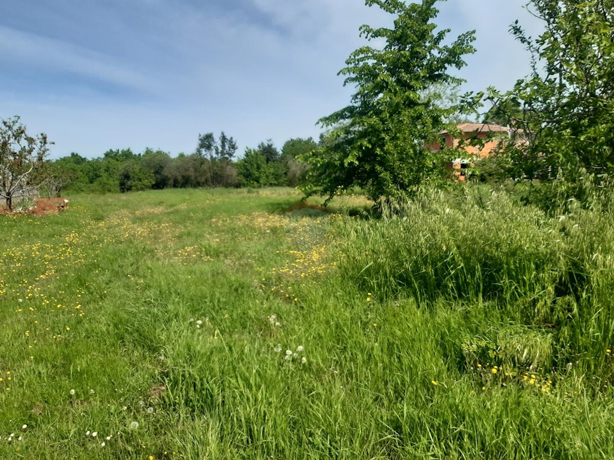 Stavbno zemljišče Kaštelir, Kaštelir-Labinci, 918m2