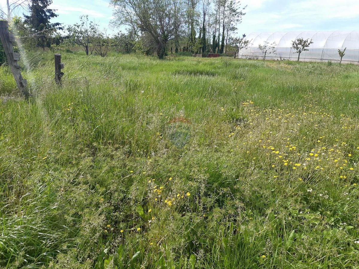 Stavbno zemljišče Kaštelir, Kaštelir-Labinci, 918m2