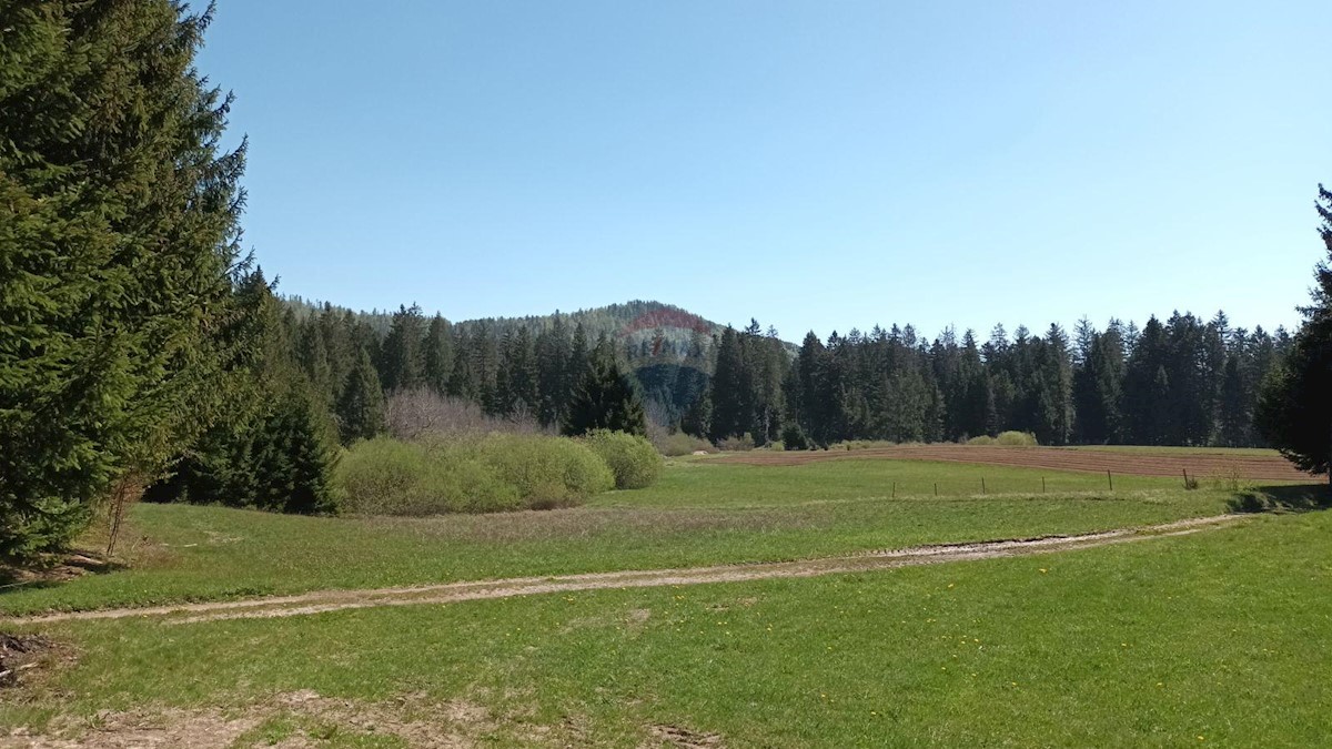 Stavbno zemljišče Sunger, Mrkopalj, 17.642m2