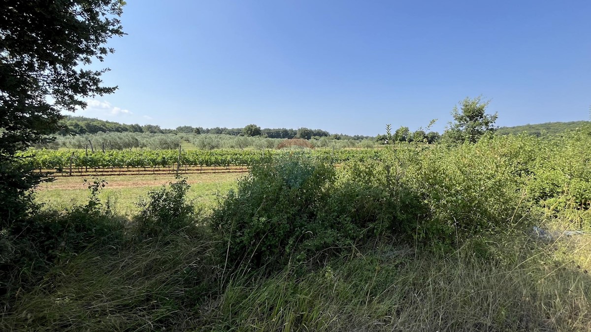 Stavbno zemljišče Delići, Sveti Lovreč, 1.511m2