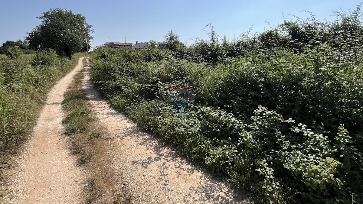 Stavbno zemljišče Delići, Sveti Lovreč, 1.017m2