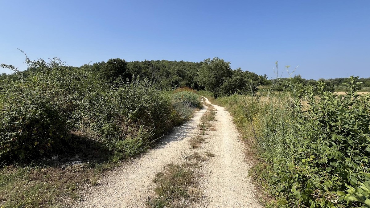 Stavbno zemljišče Delići, Sveti Lovreč, 1.017m2