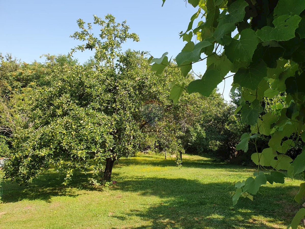 Stavbno zemljišče Žminj, 13.500m2