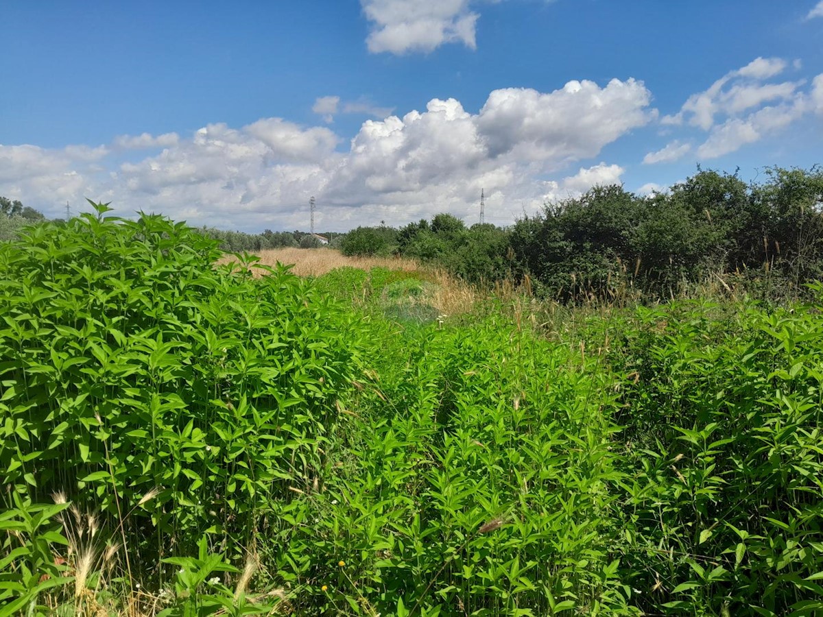 Stavbno zemljišče Medulin, 1.654m2