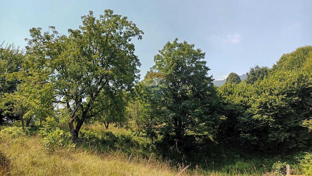 Stavbno zemljišče Plemenitaš, Vrbovsko, 7.484m2