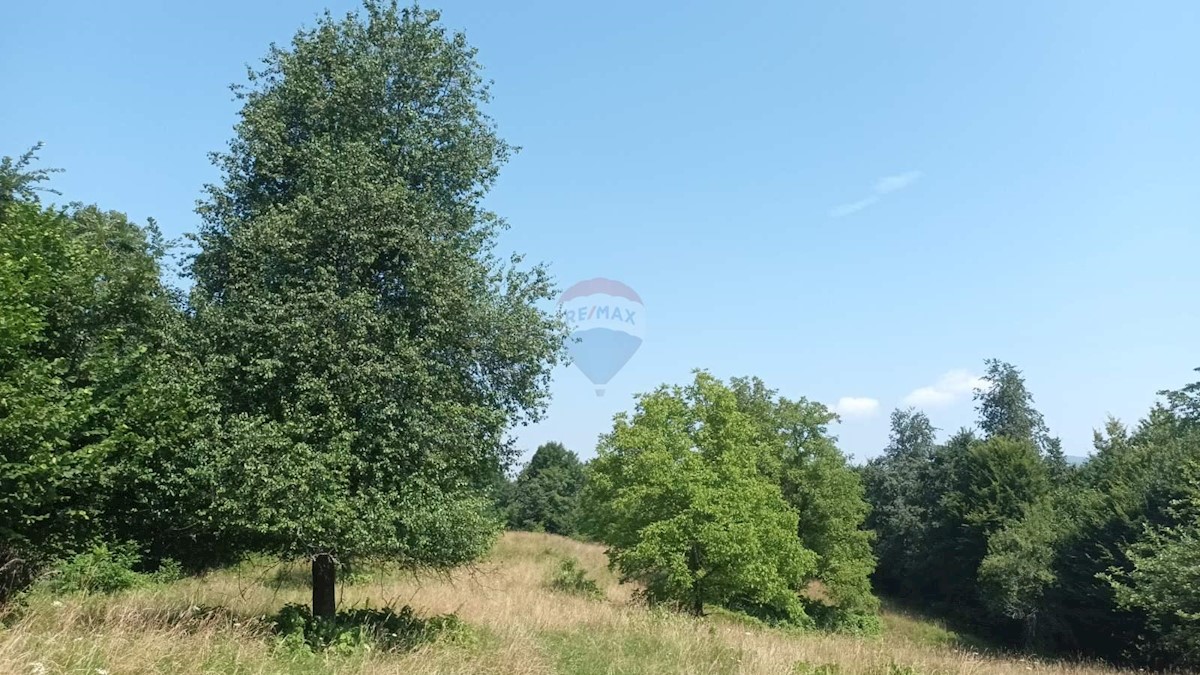 Stavbno zemljišče Plemenitaš, Vrbovsko, 7.484m2