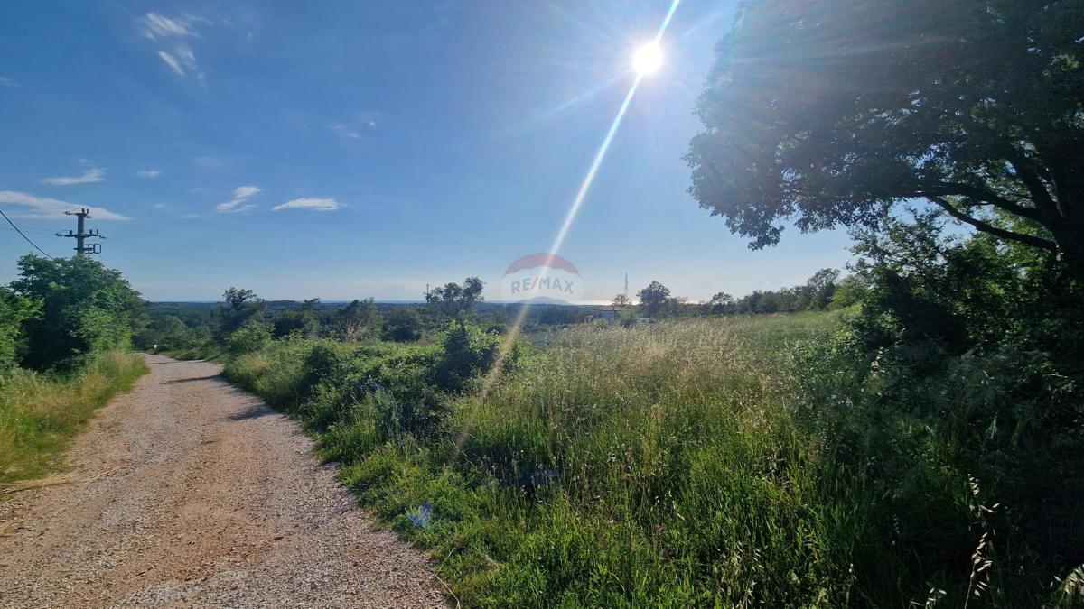 Stavbno zemljišče Kaštel, Buje, 5.000m2