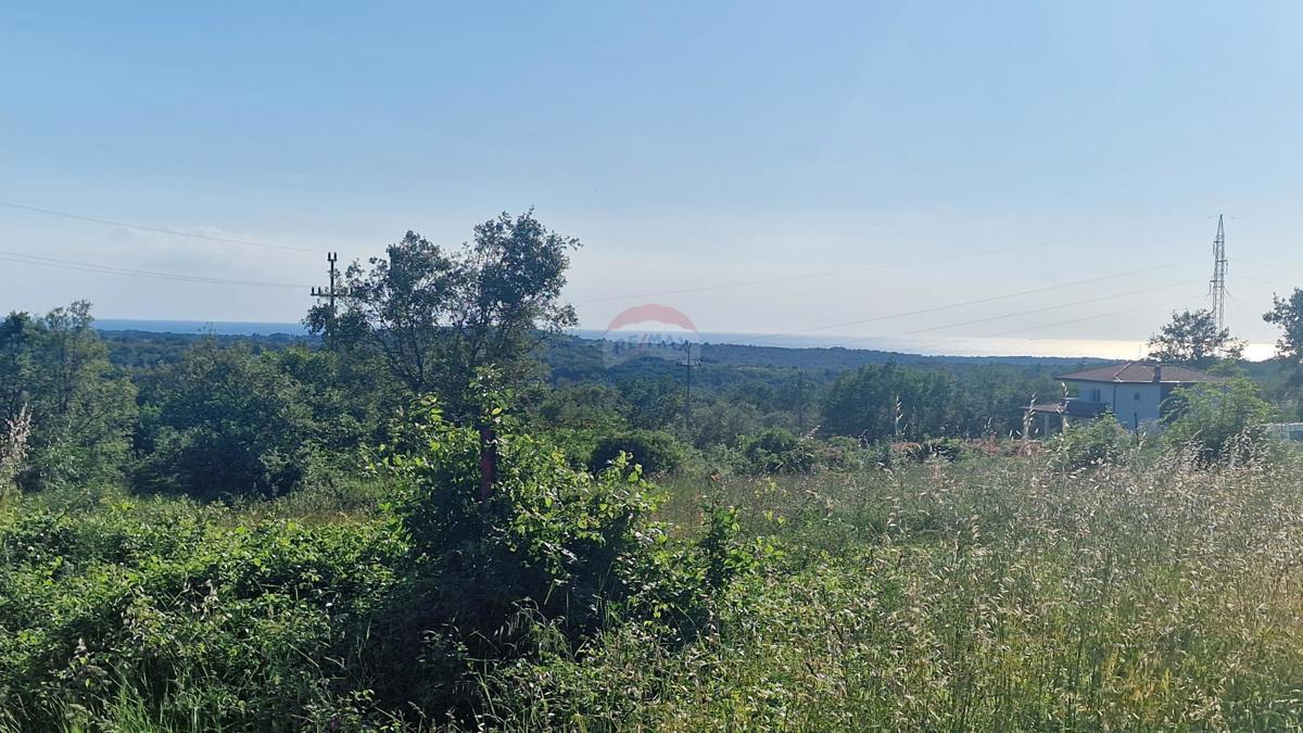 Stavbno zemljišče Kaštel, Buje, 5.000m2