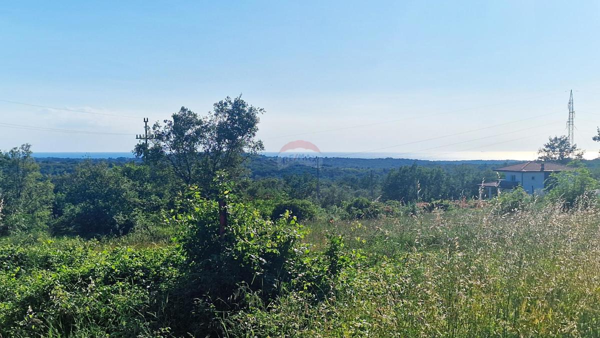 Stavbno zemljišče Kaštel, Buje, 5.000m2