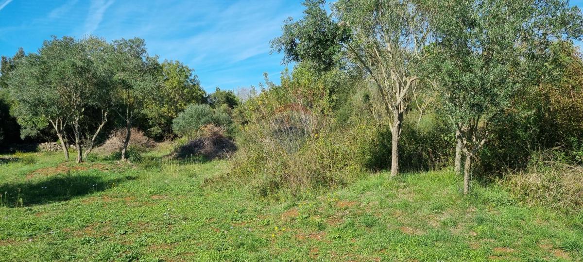 Stavbno zemljišče Rovinj, 1.574m2