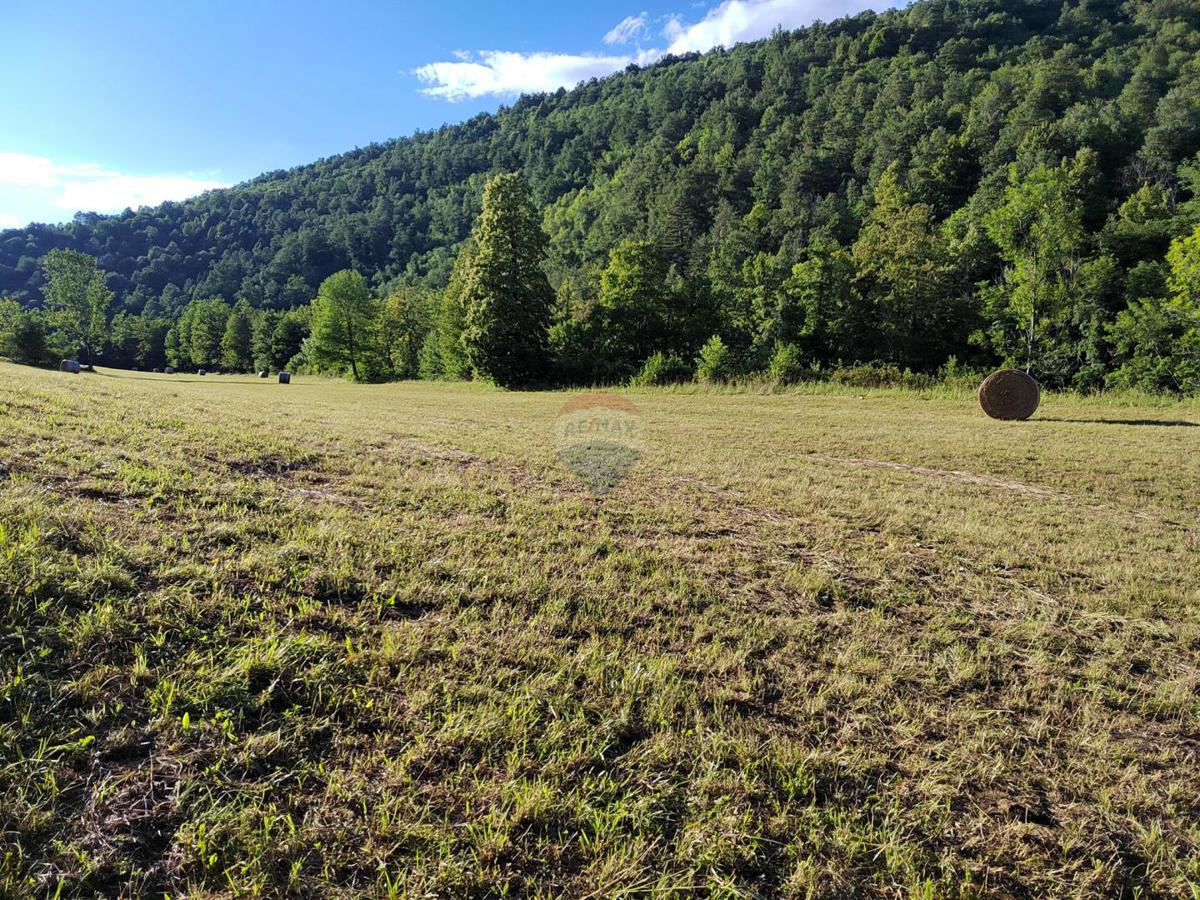 Stavbno zemljišče Severin na Kupi, Vrbovsko, 73.000m2