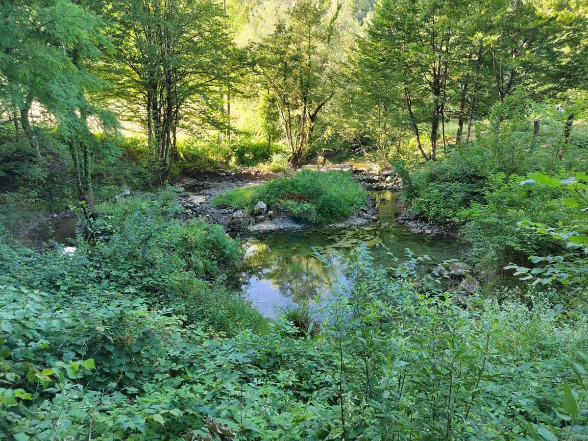 Stavbno zemljišče Severin na Kupi, Vrbovsko, 73.000m2