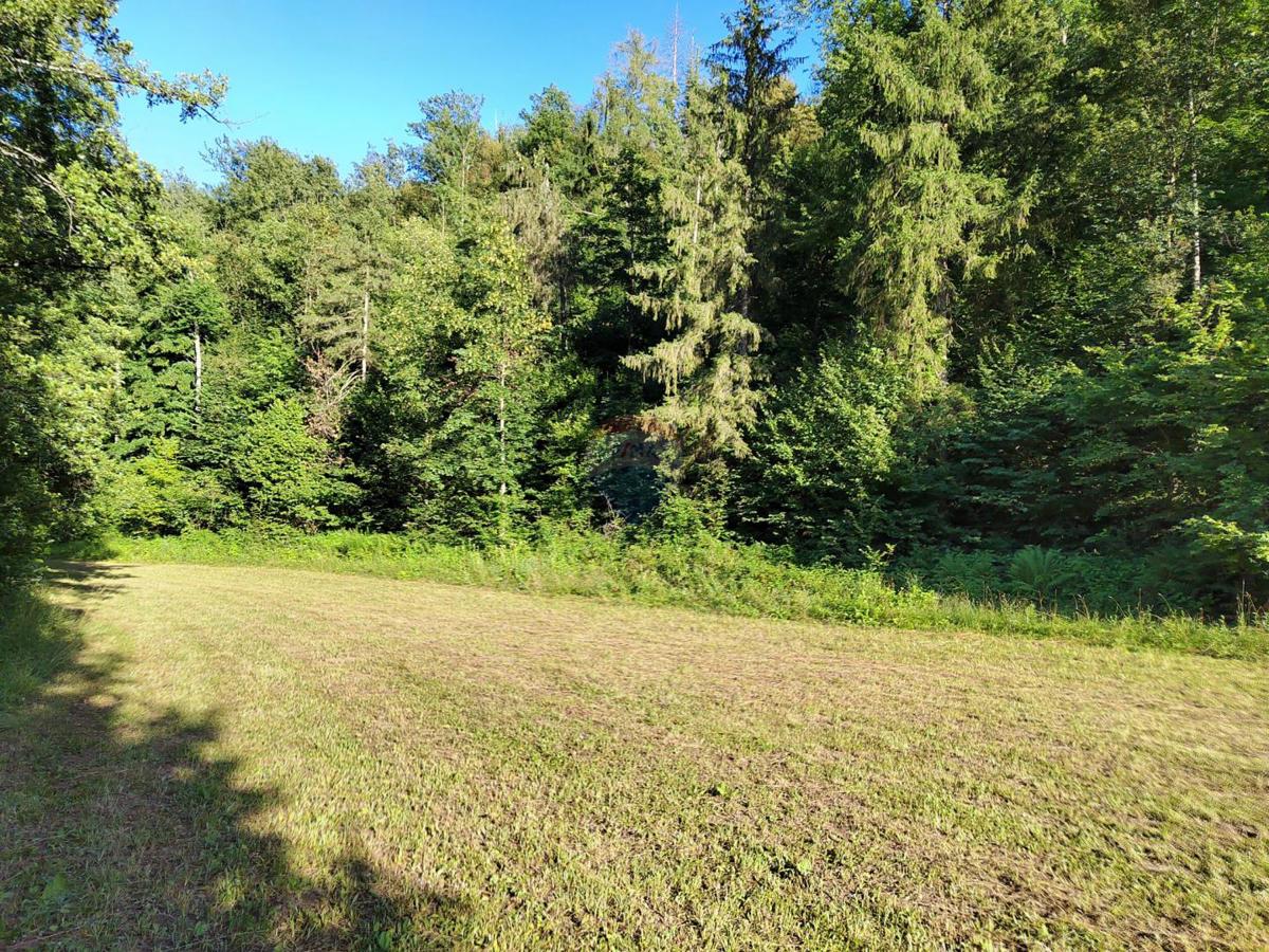 Stavbno zemljišče Severin na Kupi, Vrbovsko, 73.000m2