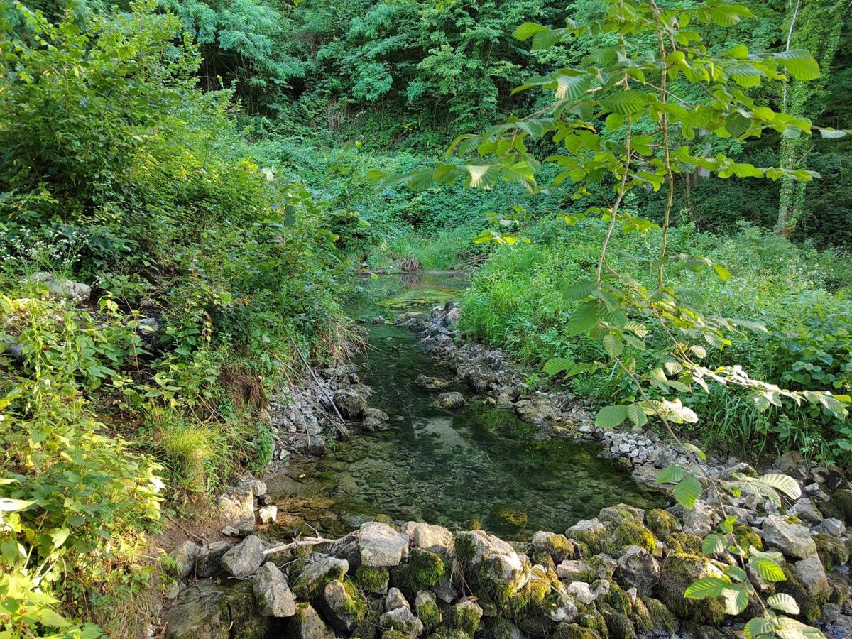 Stavbno zemljišče Severin na Kupi, Vrbovsko, 73.000m2