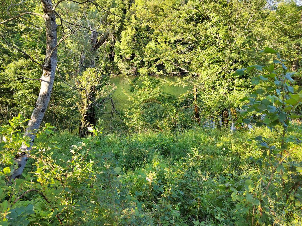 Stavbno zemljišče Severin na Kupi, Vrbovsko, 73.000m2