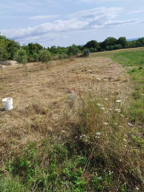 Stavbno zemljišče Vrh, Krk, 568m2
