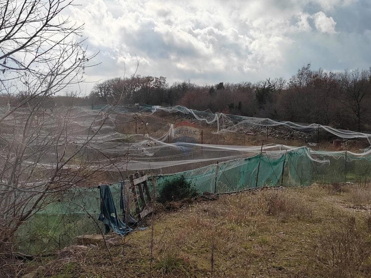 Stavbno zemljišče Garica, Vrbnik, 3.179m2