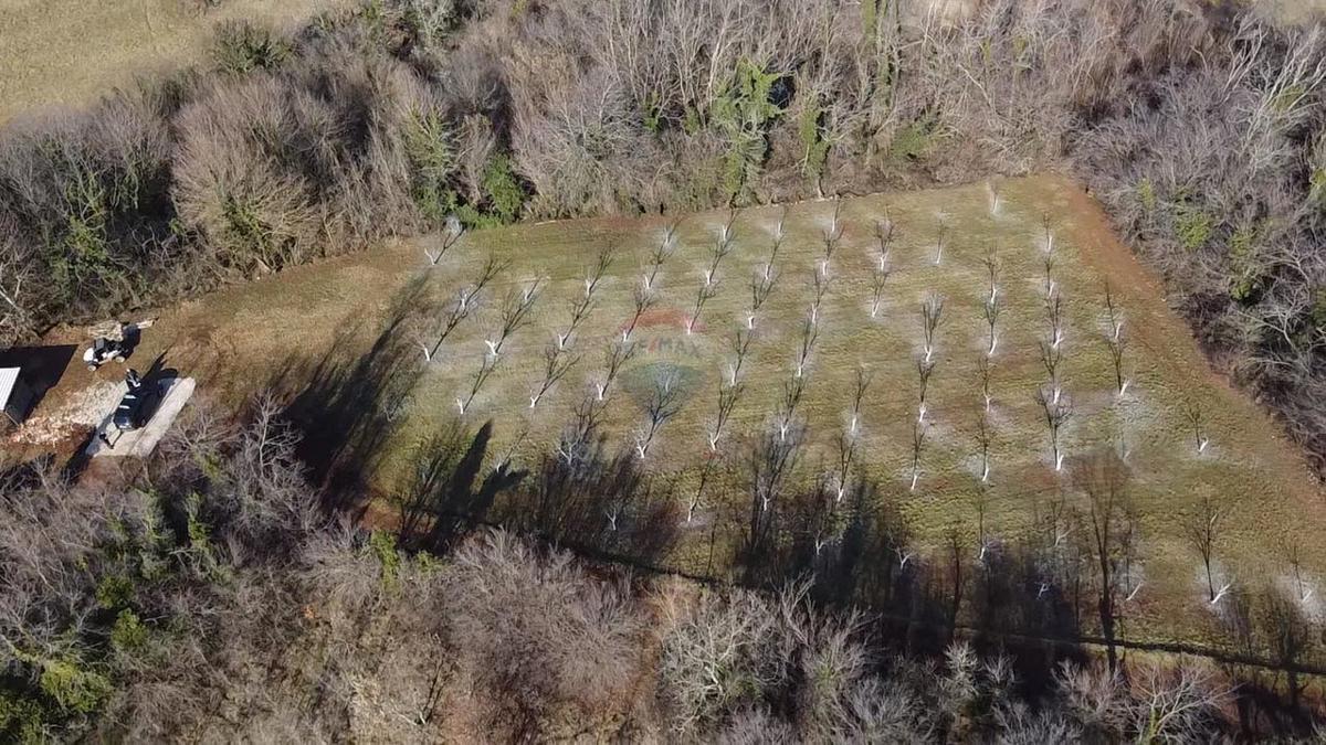 Stavbno zemljišče Vranići kod Višnjana, Višnjan, 3.676m2