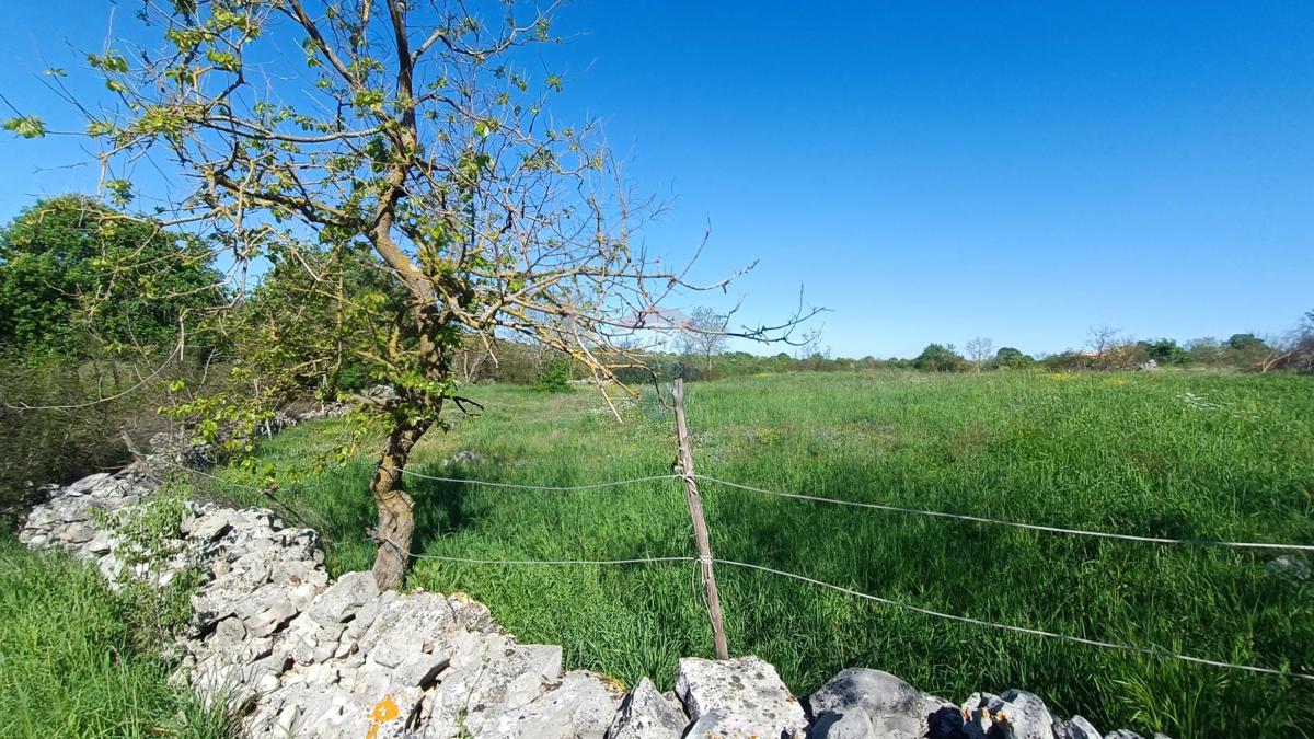 Stavbno zemljišče Bale, 755m2