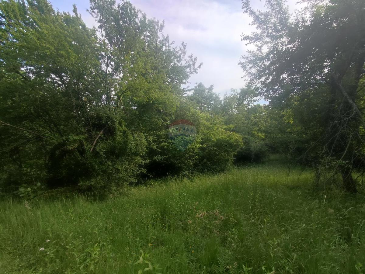Hiša Donje Dubrave, Ogulin, 102m2