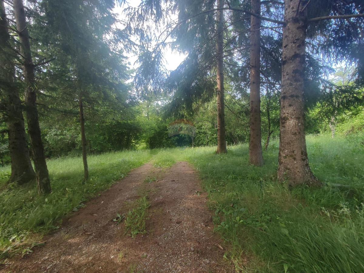 Hiša Donje Dubrave, Ogulin, 102m2
