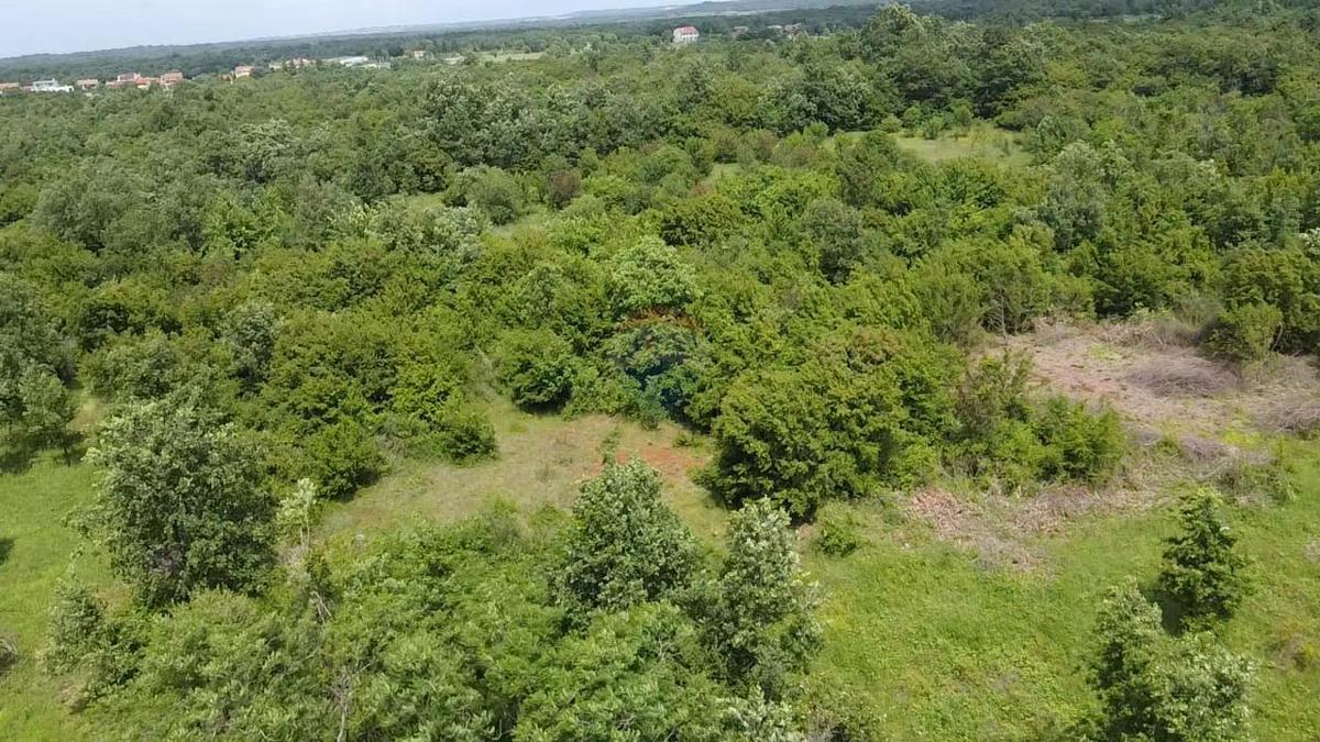 Stavbno zemljišče Žbandaj, Poreč, 33.835m2