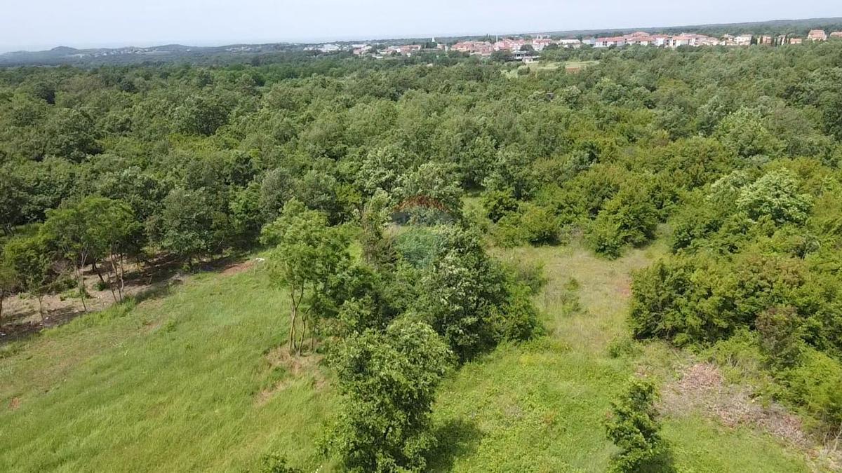 Stavbno zemljišče Žbandaj, Poreč, 33.835m2