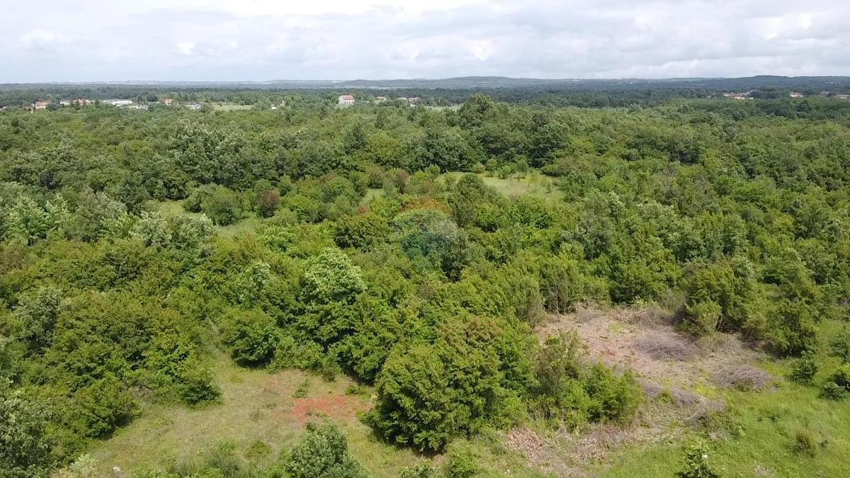 Stavbno zemljišče Žbandaj, Poreč, 33.835m2