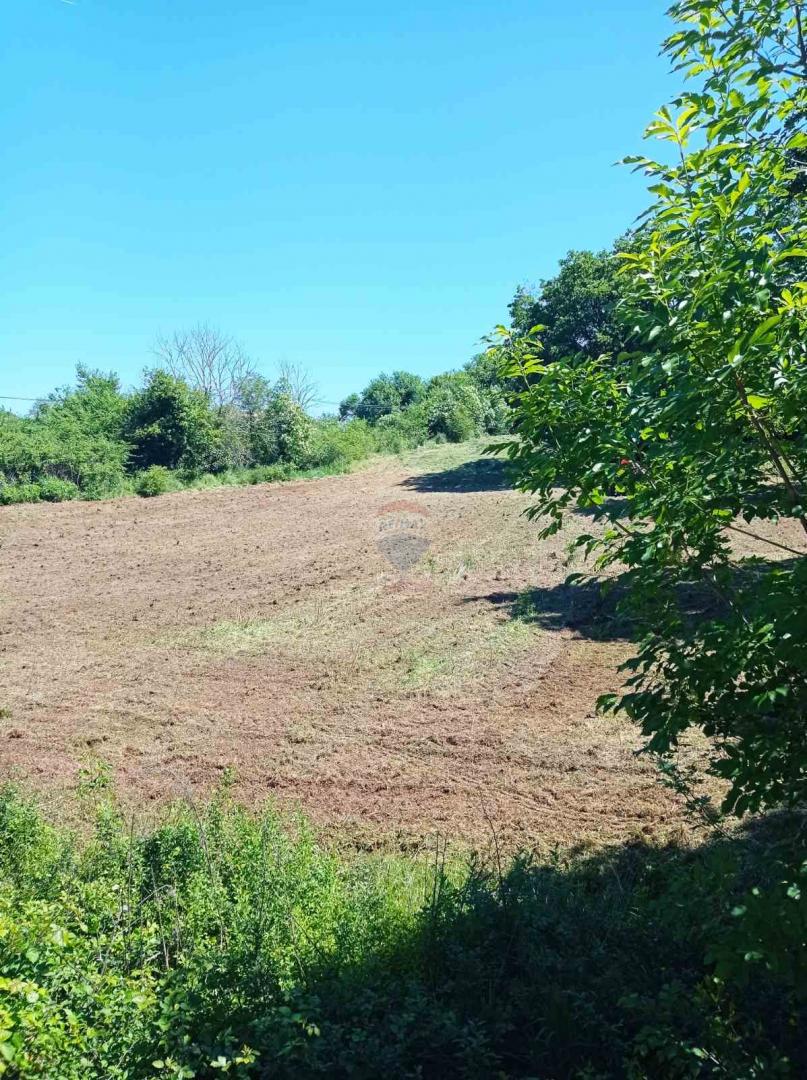 Istria, Barban - Building Land 1227 m2