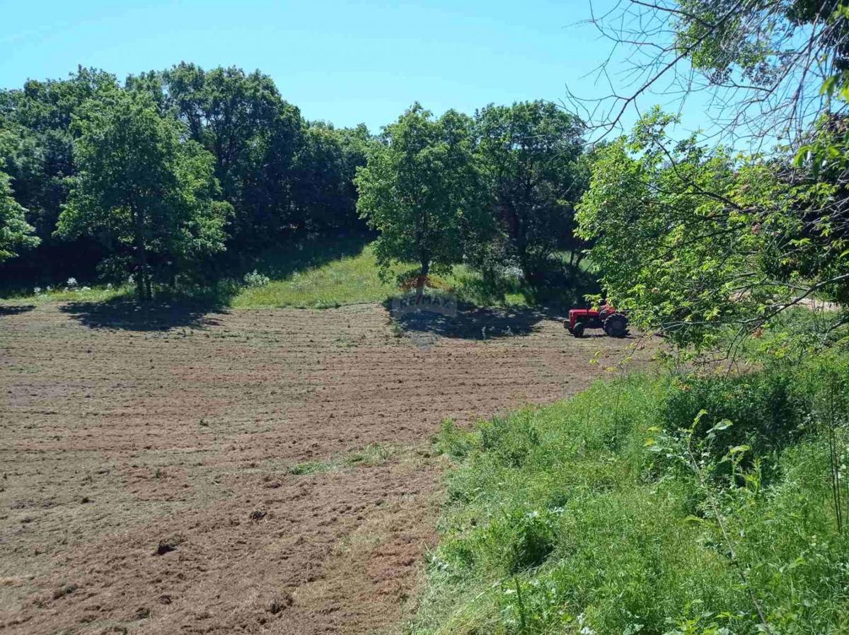 Istria, Barban - Building Land 1227 m2