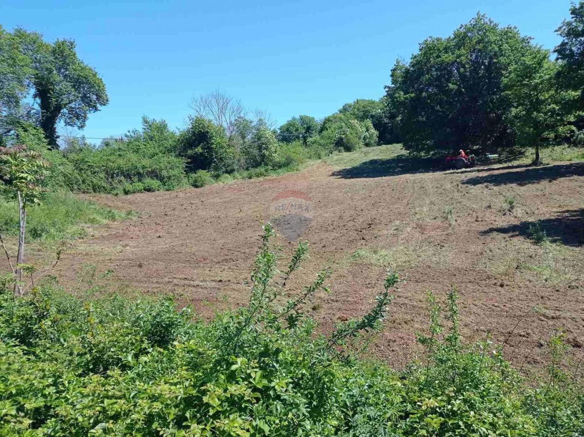Istria, Barban - Building Land 1227 m2