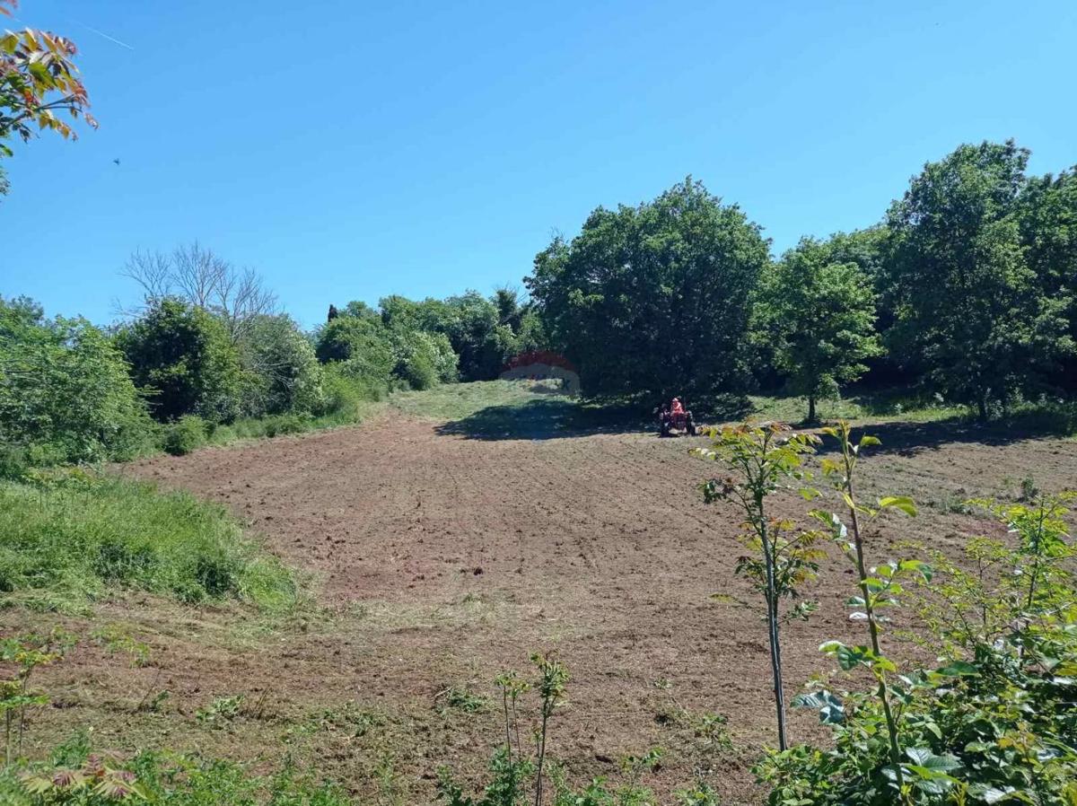 Istria, Barban - Building Land 1227 m2