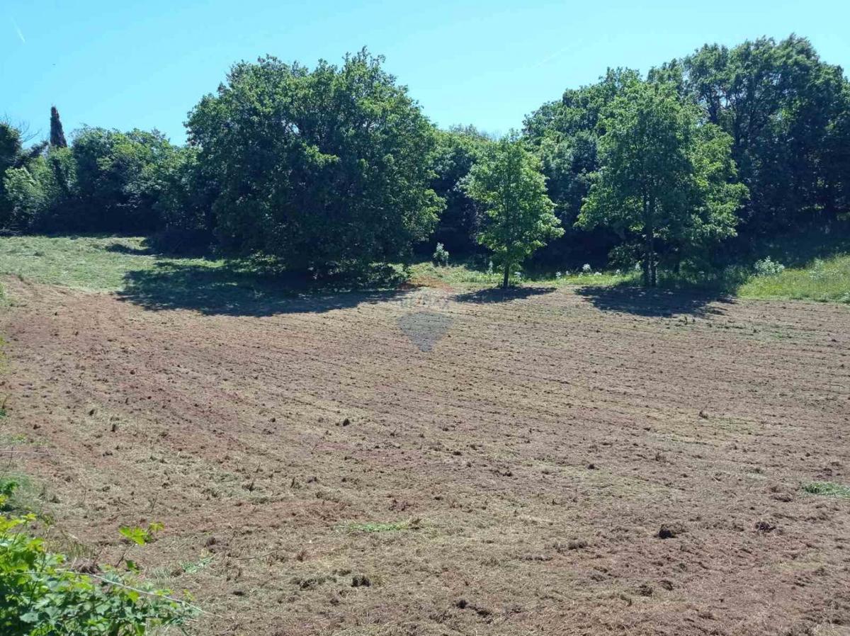 Istria, Barban - Building Land 1227 m2