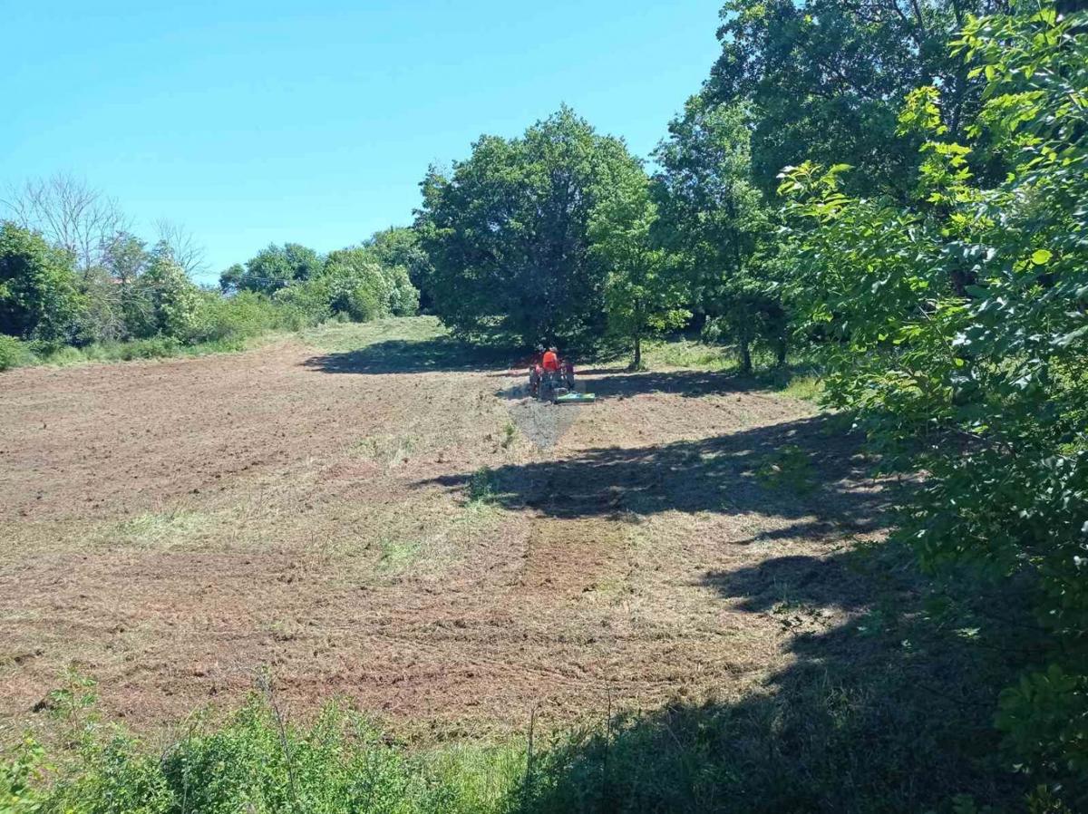 Istria, Barban - Building Land 1227 m2
