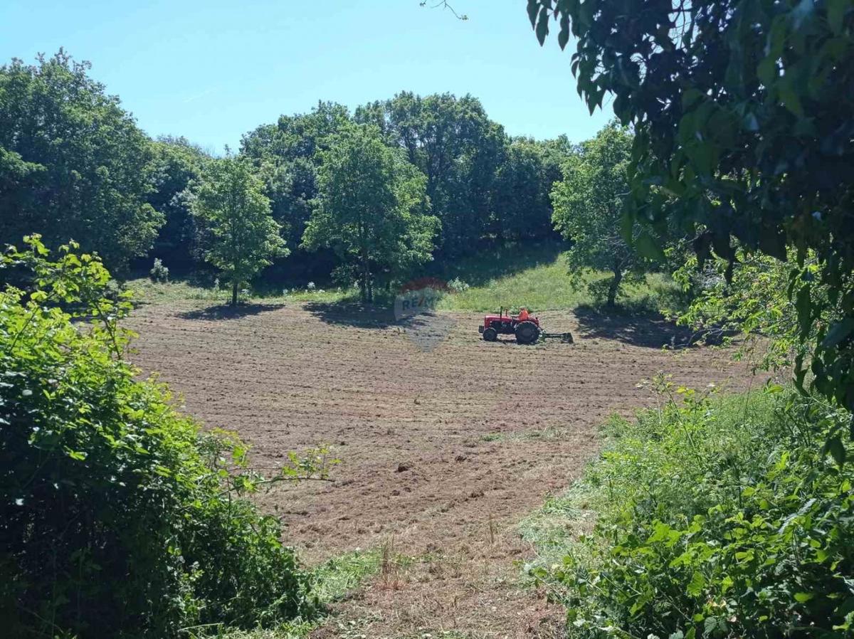 Istria, Barban - Building Land 1227 m2
