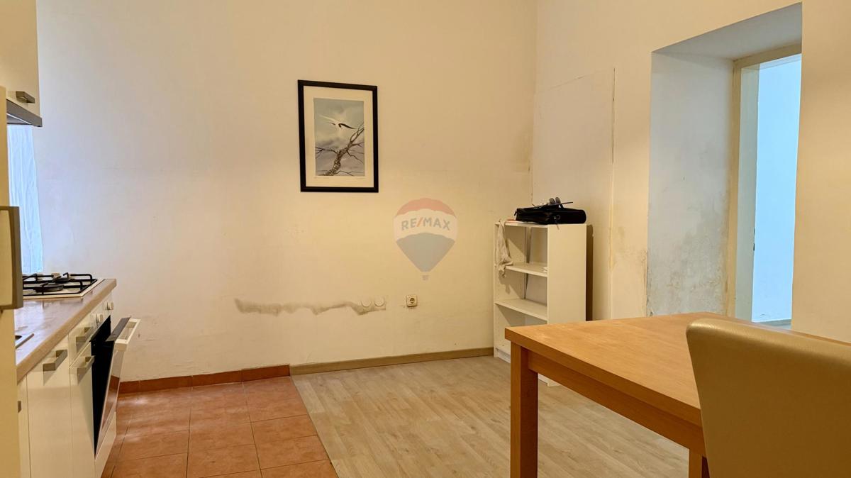 Stanovanje/Apartma Donji grad, Donji Grad, 55,20m2
